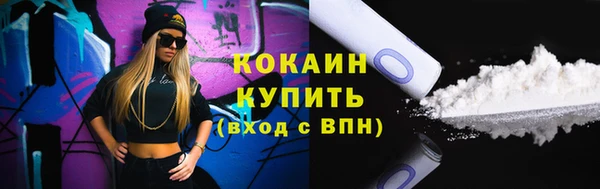 индика Вязьма