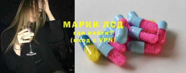 индика Вязьма