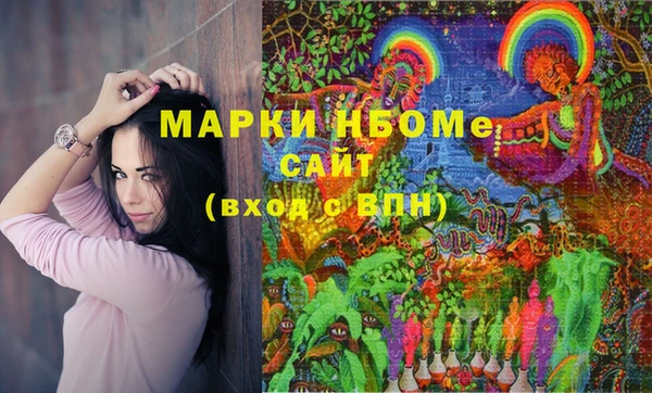 индика Вязьма