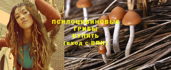 индика Вязьма