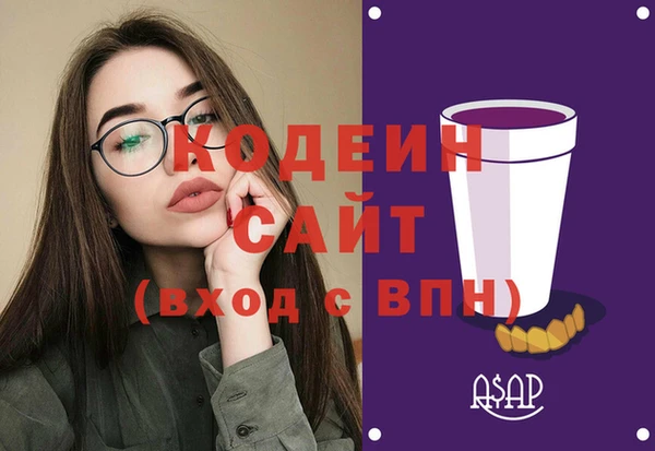 индика Вязьма
