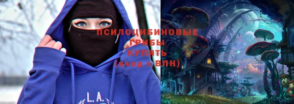 гидропоника Вяземский